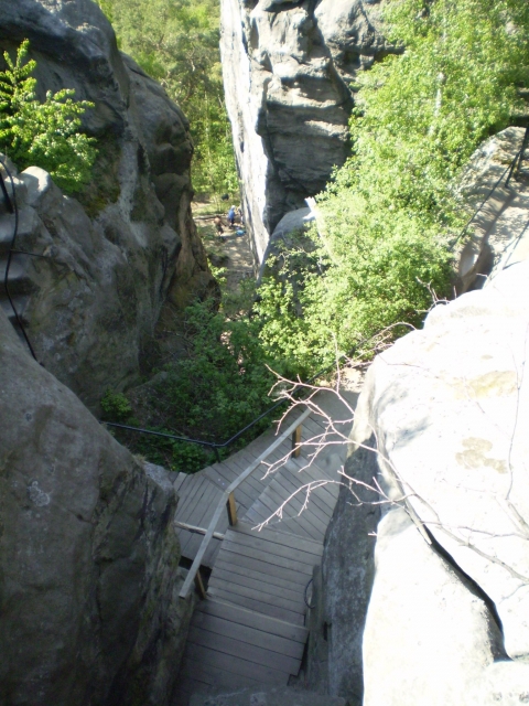 P5030426
