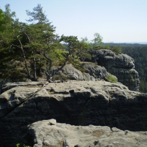 P5030428