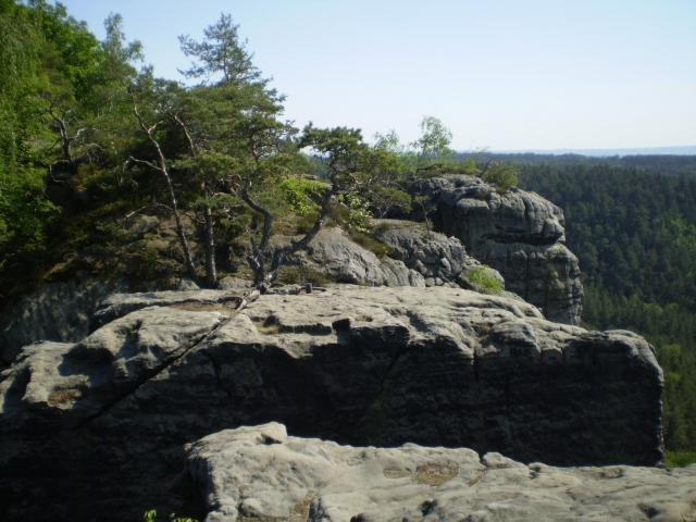 P5030428