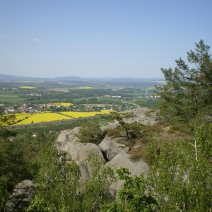 P5030431