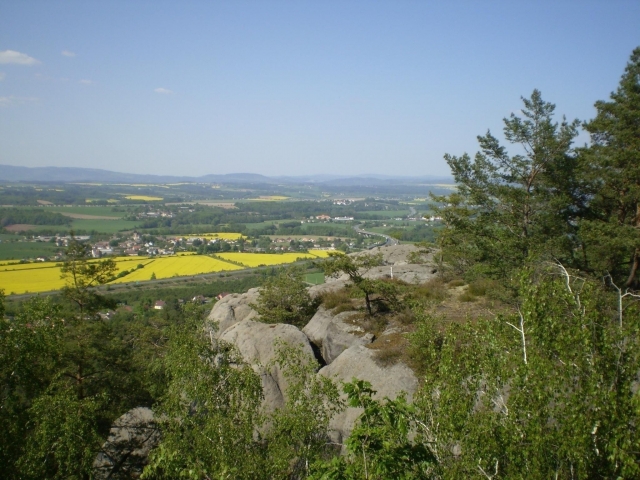 P5030431