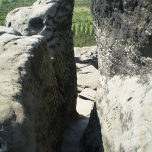 P5030438