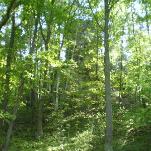 P5030441