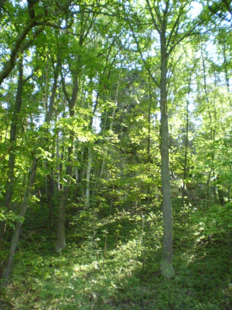 P5030441