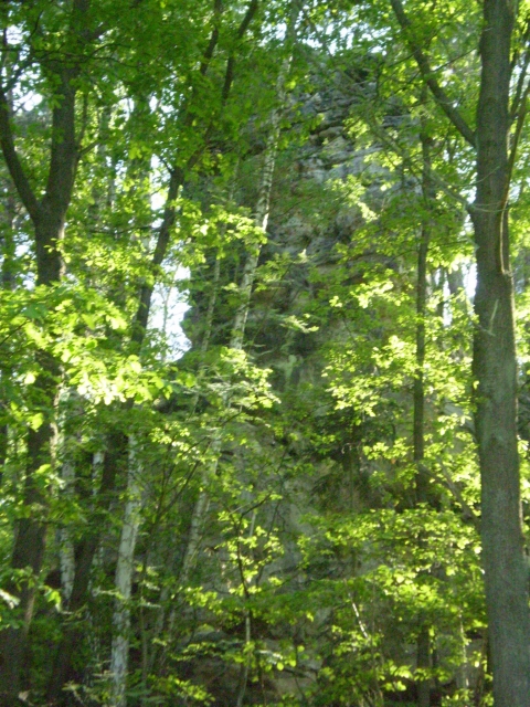 P5030442