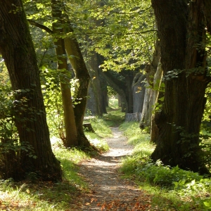 Konopiště 2009