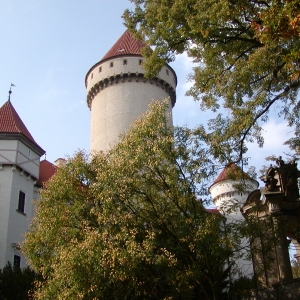 P9190056