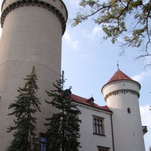 P9190059