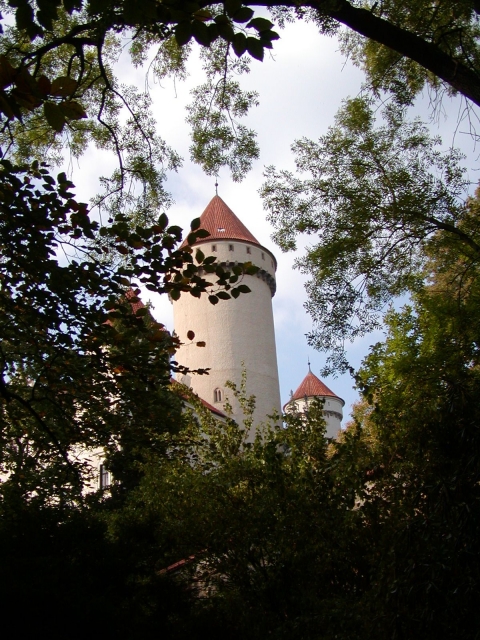 P9190060