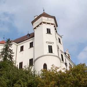 P9190065