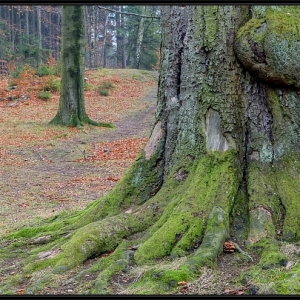 DSC_0066_tonemapped_x.jpg