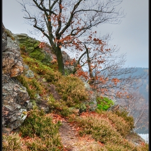 DSC_0114_tonemapped_y.jpg