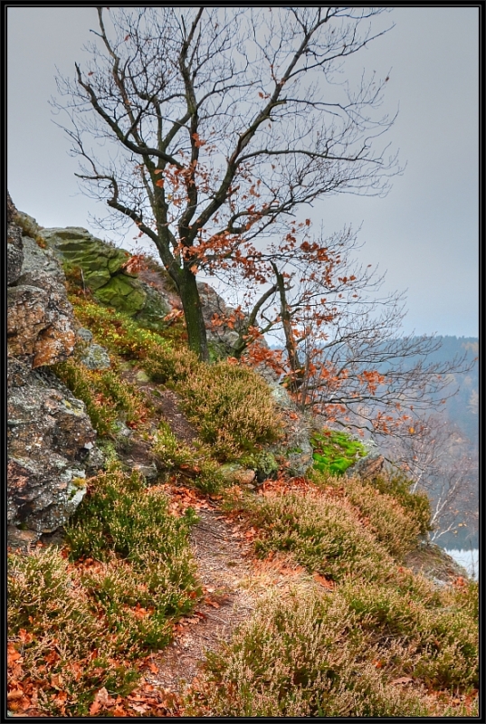 DSC_0114_tonemapped_y.jpg