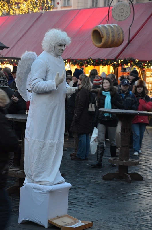 DSC_0262.jpg