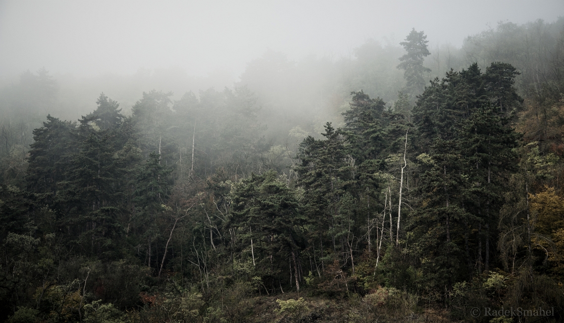 Mlha jako na horách