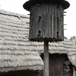 DSC_2842.jpg