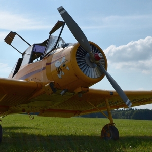 DSC_2519.jpg