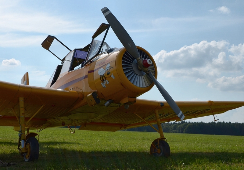 DSC_2519.jpg