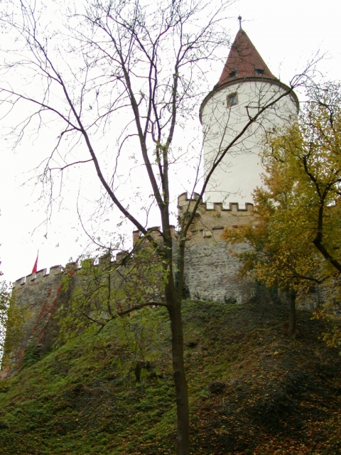PA190029