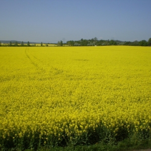Drábské světničky 2009