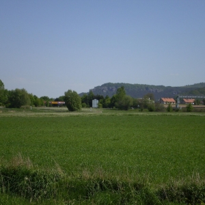 P5030370