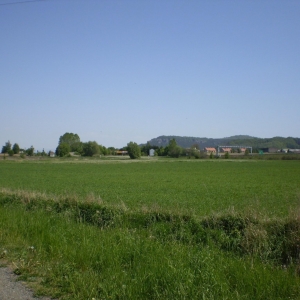 P5030371
