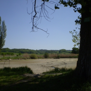 P5030372