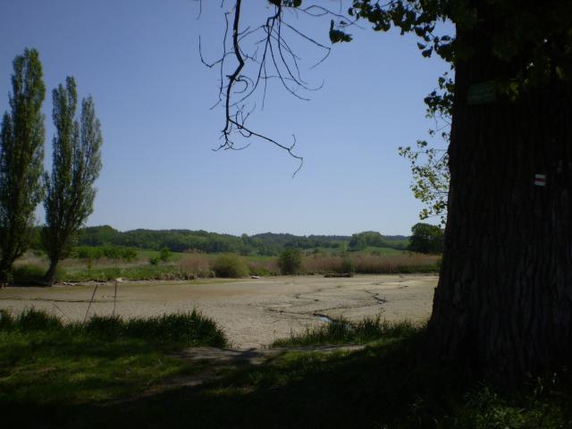 P5030372