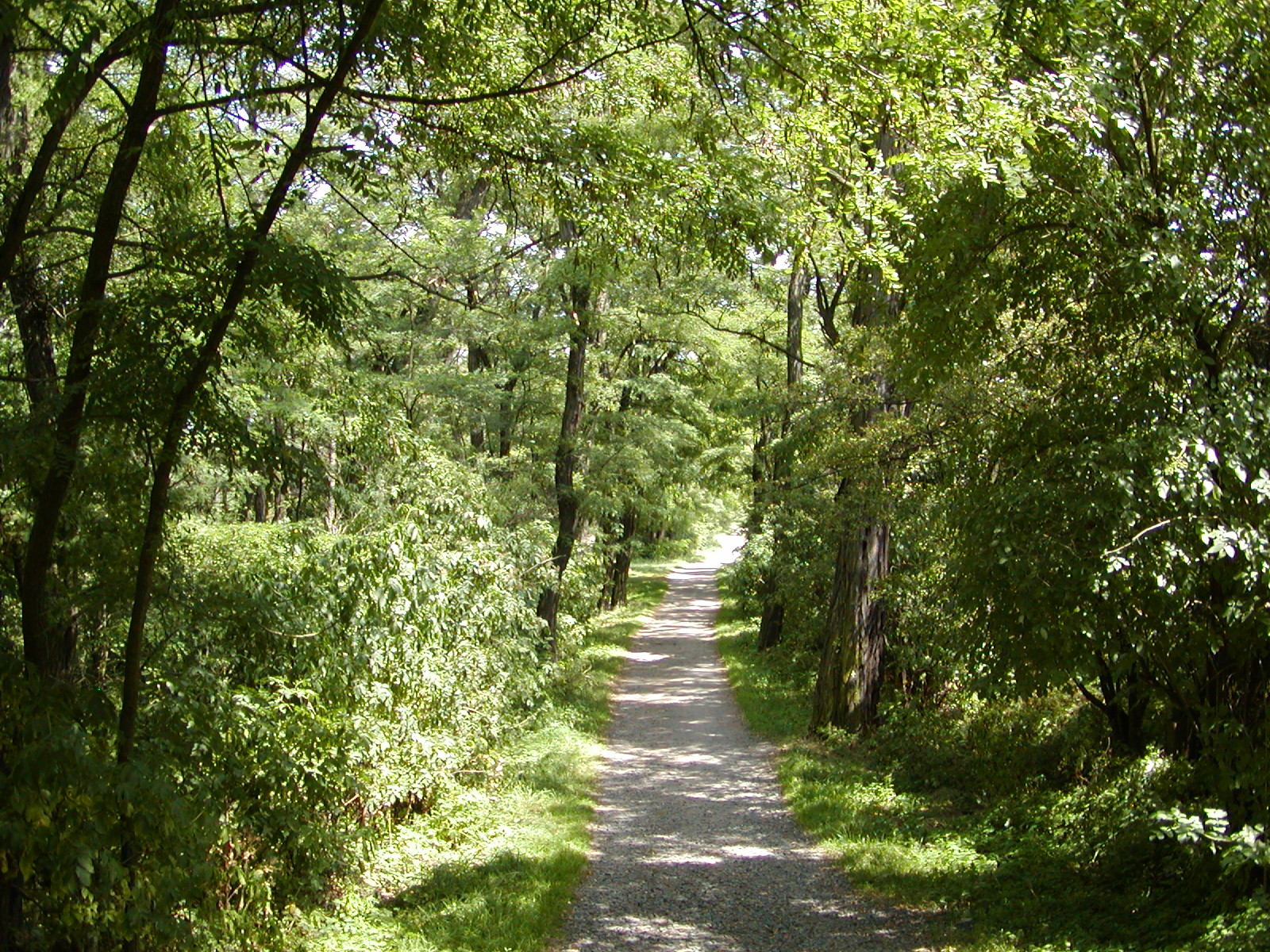P7310013