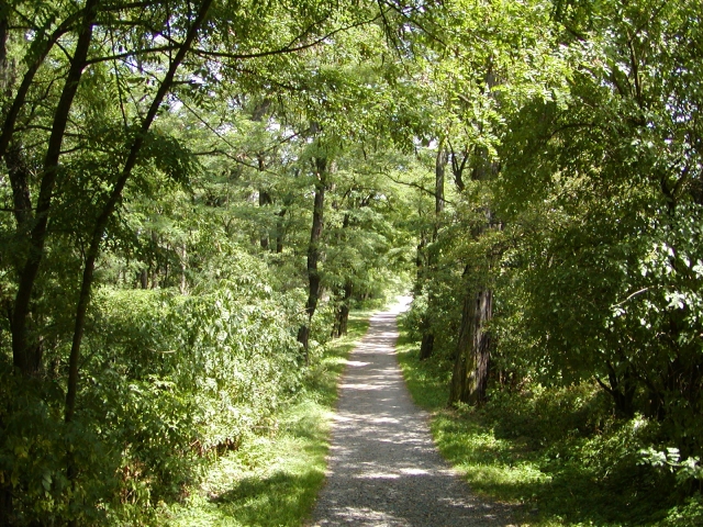 P7310013