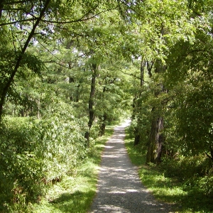 Divoká Šárka 2009