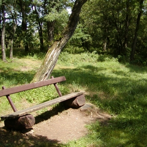 P7310014