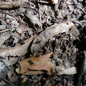 P7310018