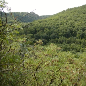 P7310023