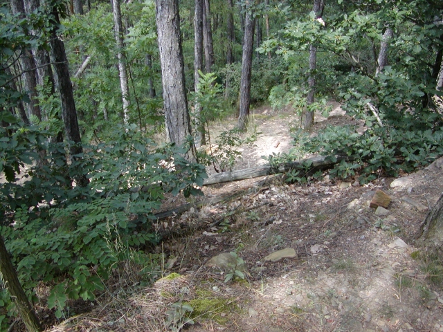 P7310029