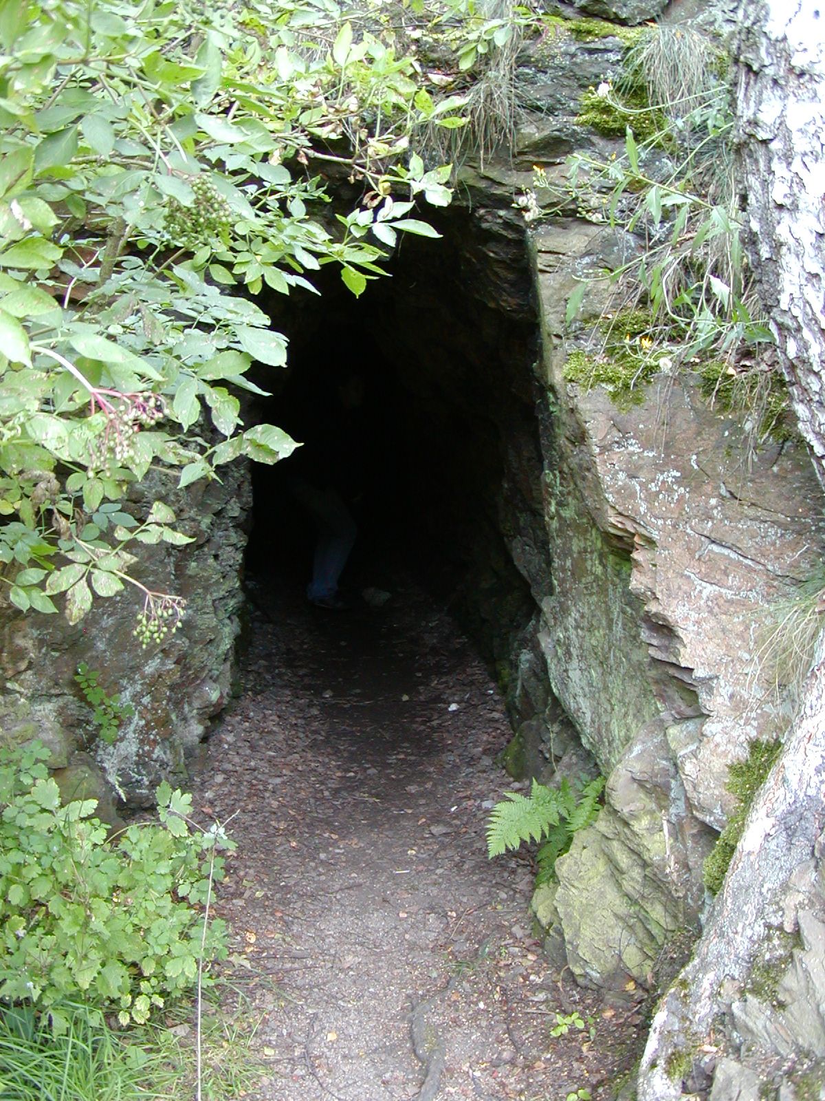 P7310045