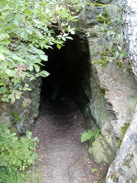 P7310045