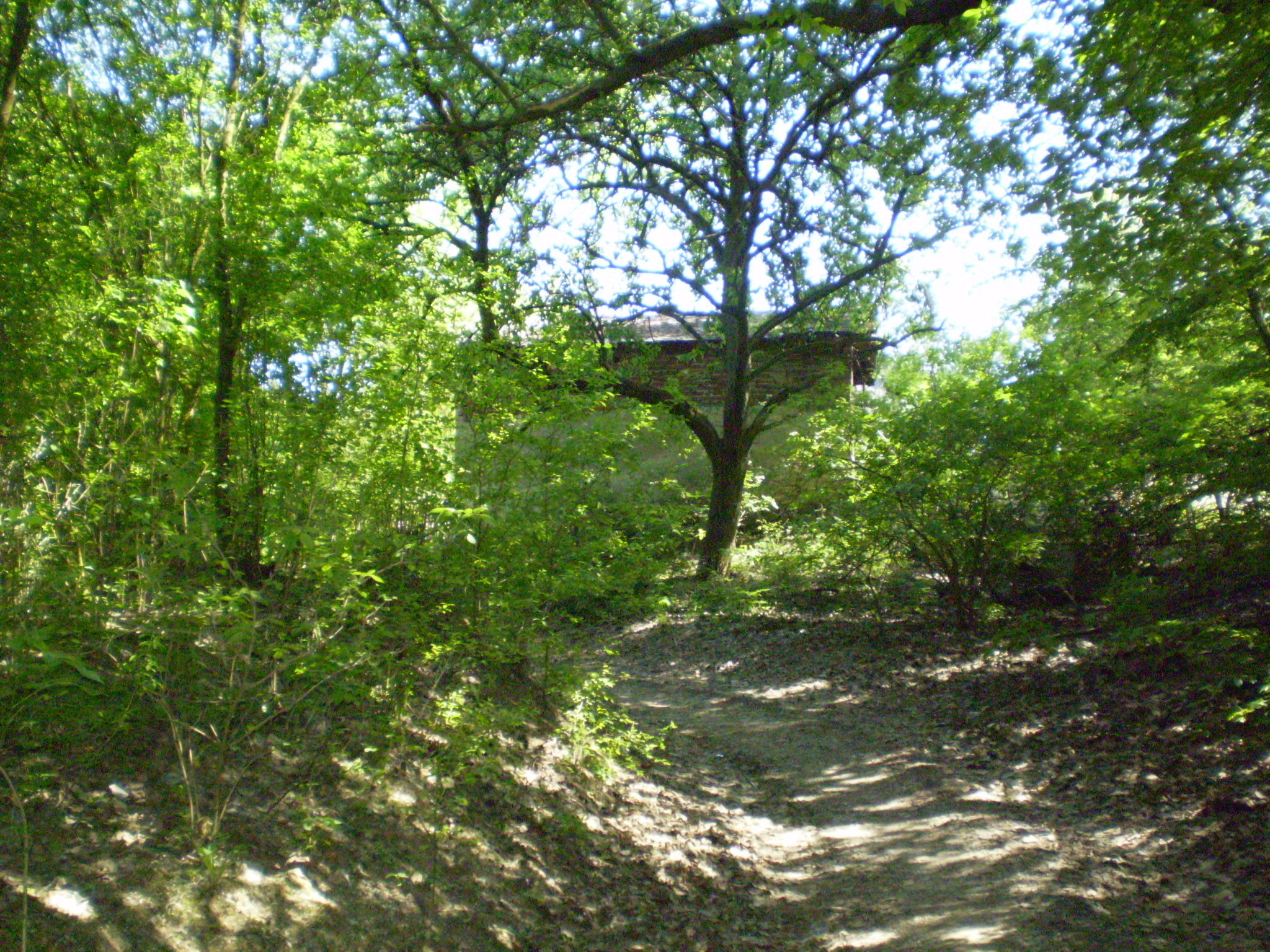 P5030374
