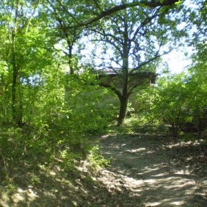 P5030374