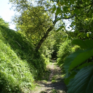 P5030375