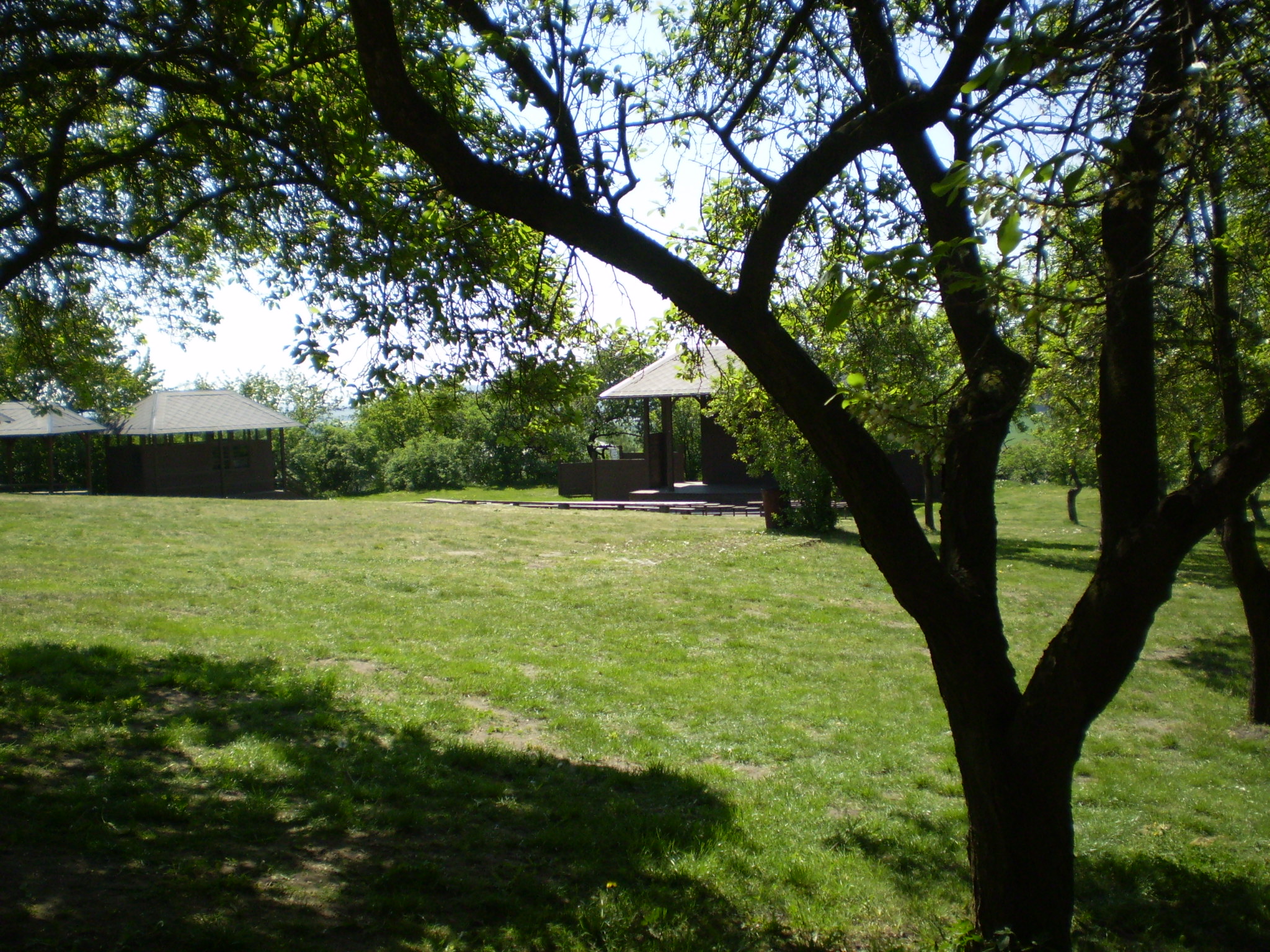 P5030376