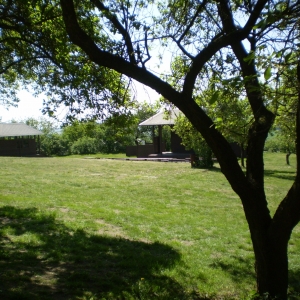 P5030376