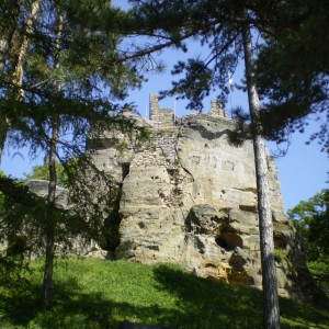 P5030378