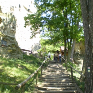 P5030379