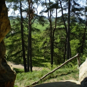 P5030380