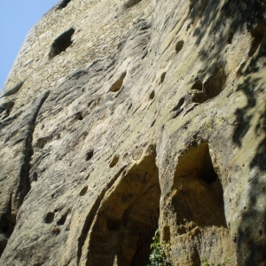 P5030382