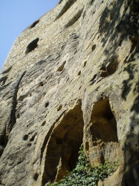 P5030382